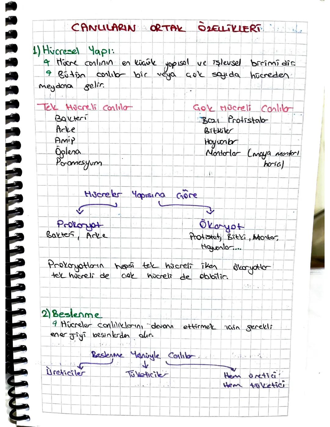 Biyoloji canlıların ortak özellikleri 
