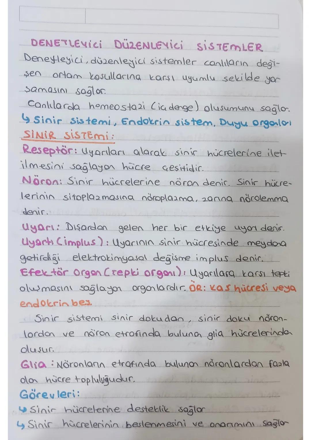 Denetleyici ve Düzenleyici Sistemler 