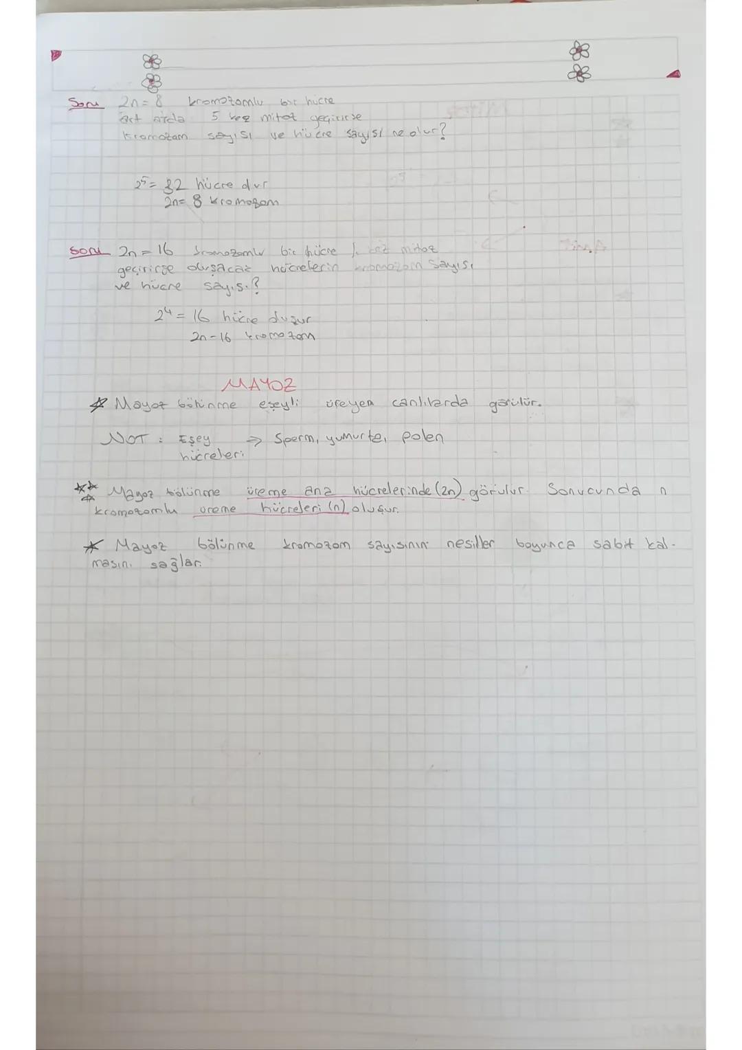 yaralanın
canlilarda
anarılmas
üremeyi sağlar
Mitoz
ile olur
Mitoz
Büyüme, gelişme ve
Tek
hücreli
Amit
Mitoz örnekleri
Dikilen
Resilen yerin