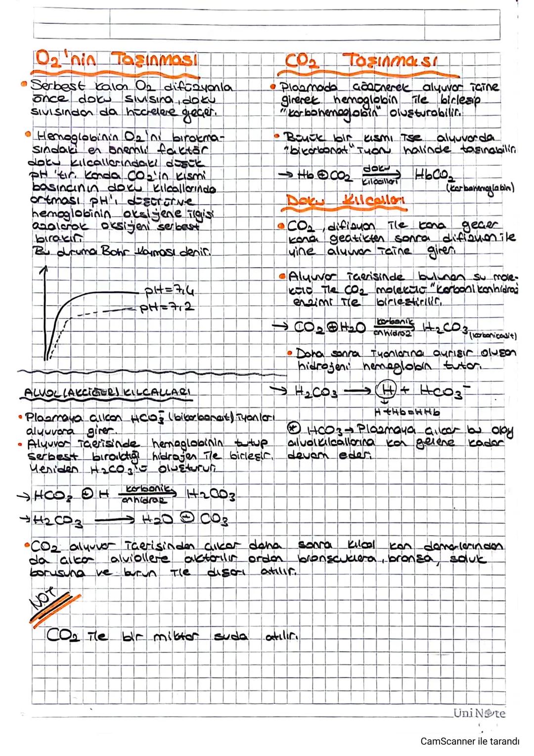 O₂ 'nin Taşınması
•Serbest kalon O2 difüzyonla
once dok Sivisina, doku
SIVISIndor da höchelere geçer.
• Hemoglobinin 02 ni bırakma-
sındaki 