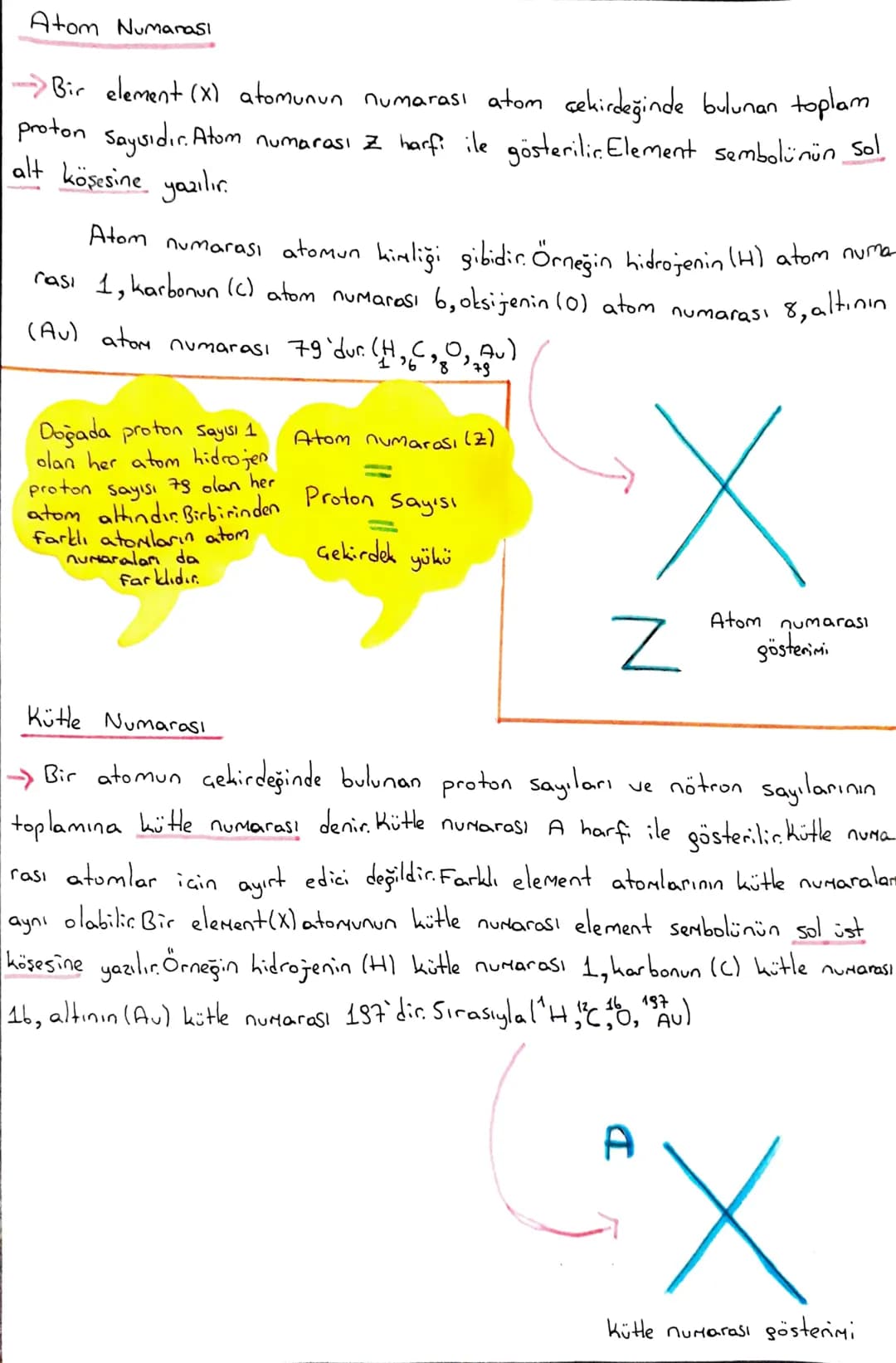 Atom Numarası
Bir element (X) atomunun numarası atom çekirdeğinde bulunan toplam
proton saysıdır. Atom numarası Z harfi ile gösterilir. Elem