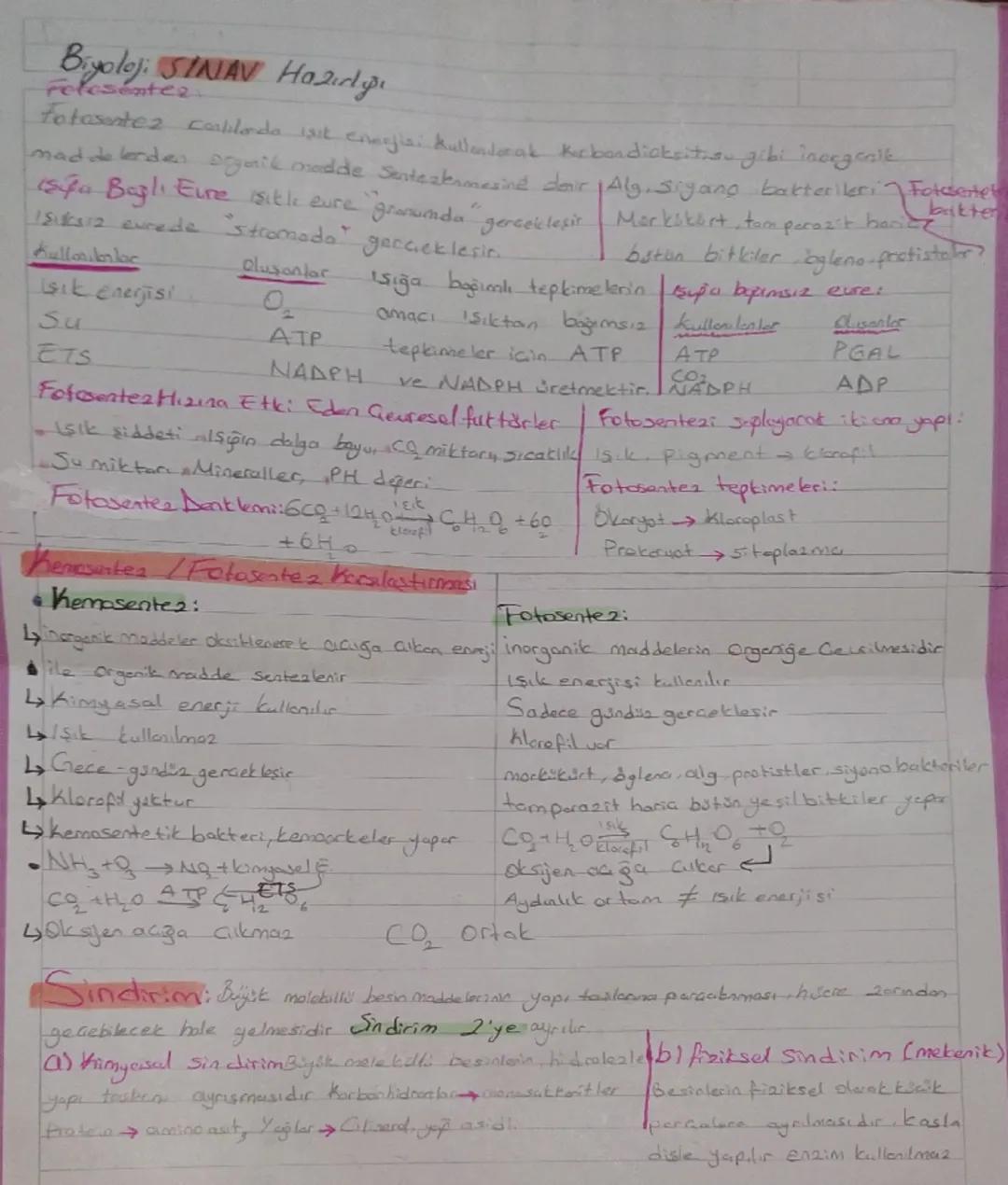 Biyoloji SINAV Hazırlığı
Fotosentez
Fotosintez canlılarda işik enerjisi kullanderak kırbandiaksitasu gibi inorgenik
maddelerden organik madd