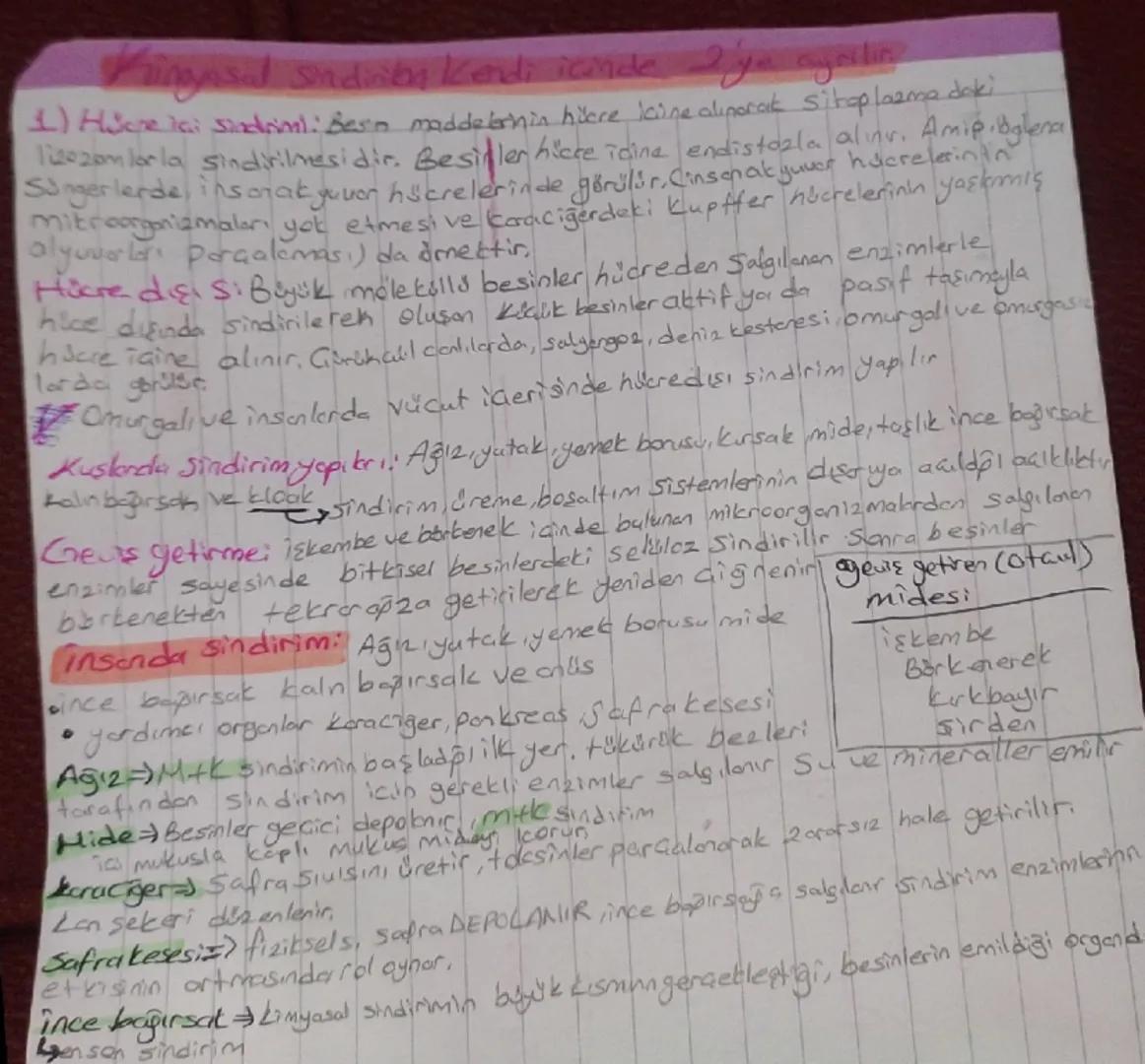 Biyoloji SINAV Hazırlığı
Fotosentez
Fotosintez canlılarda işik enerjisi kullanderak kırbandiaksitasu gibi inorgenik
maddelerden organik madd