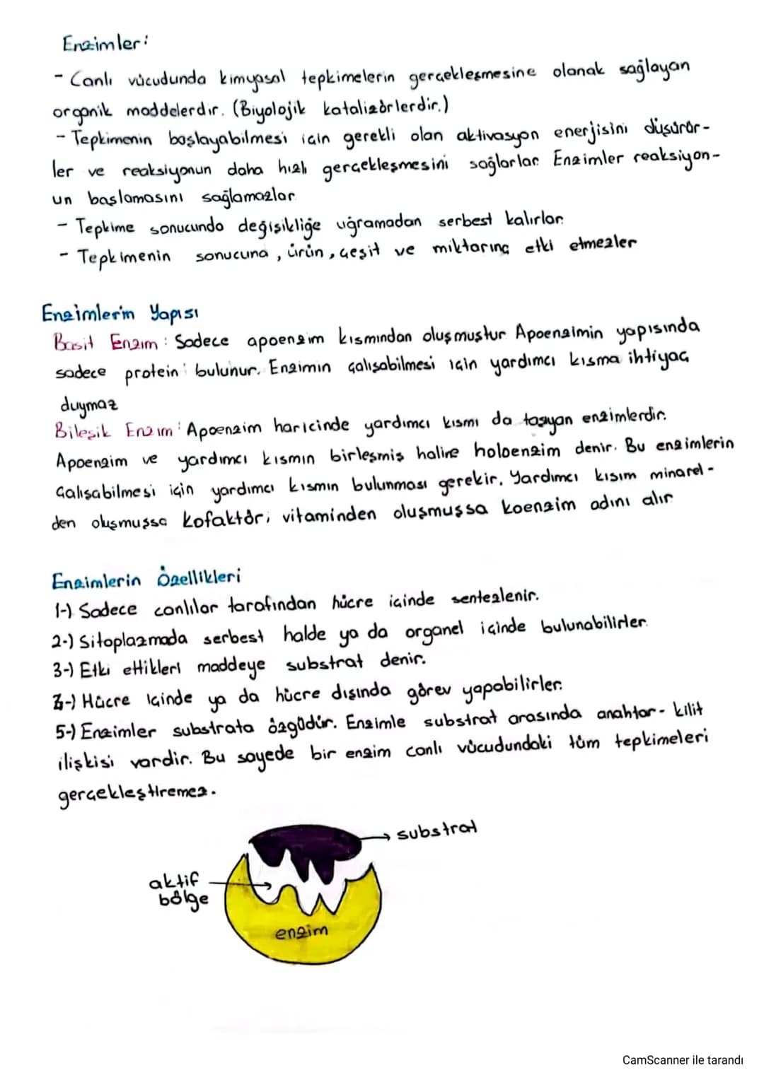 Enzimler:
- Canlı vücudunda kimyasal tepkimelerin gerçekleşmesine olanak sağlayan
organik maddelerdir. (Biyolojik katalizörlerdir.)
-Tepkime