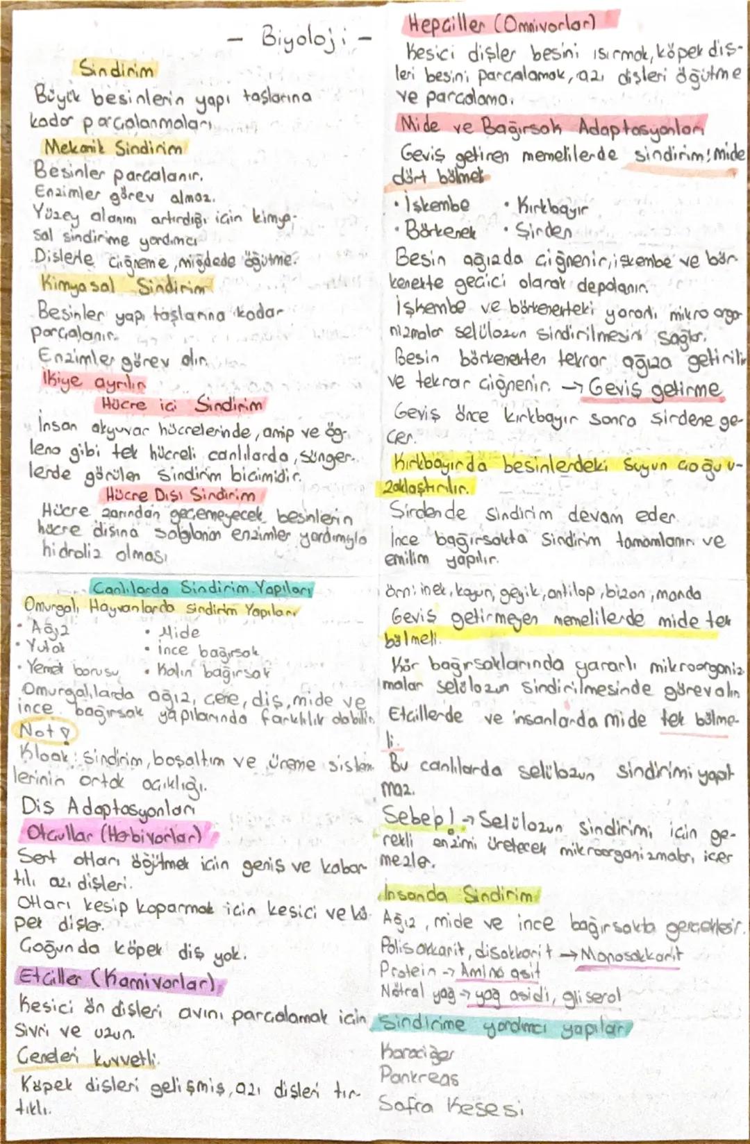 - Biyoloji -

Sindirim

Büyük besinlerin yapı taşlarına
kador parçalanmaları
Mekanik Sindirim
Besinler parçalanır.
Enzimler görev almoz.
Yüz