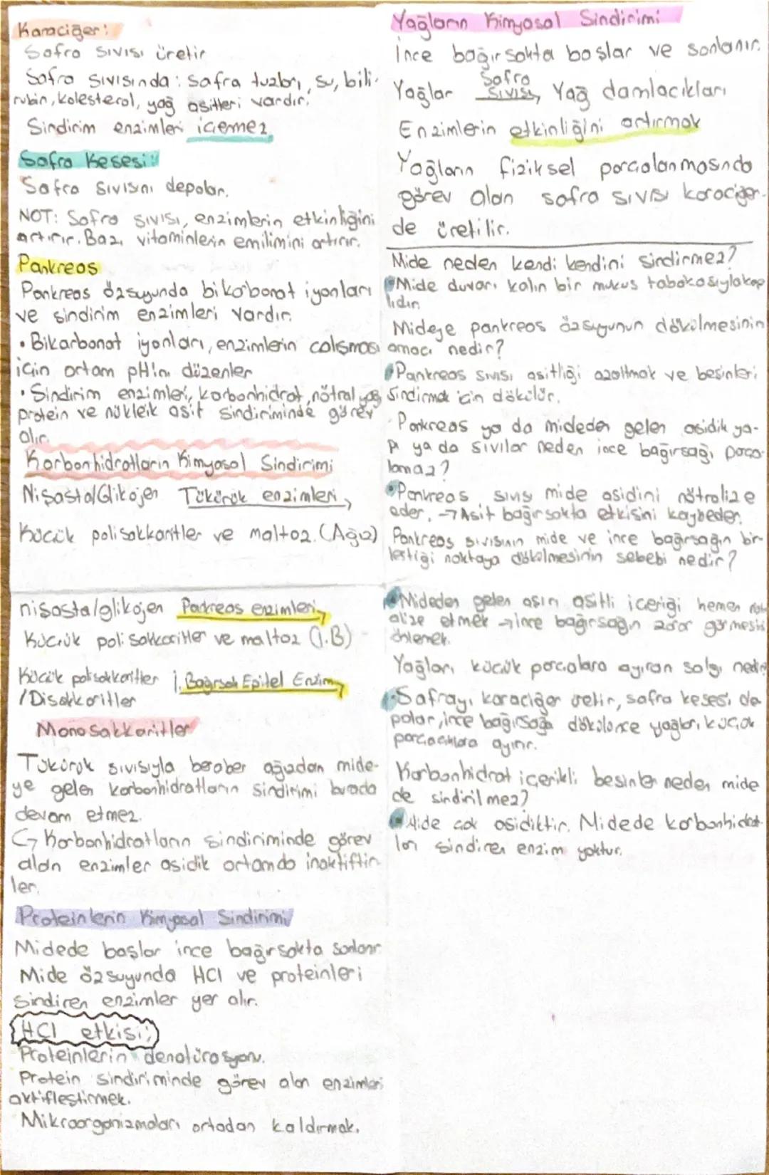 - Biyoloji -

Sindirim

Büyük besinlerin yapı taşlarına
kador parçalanmaları
Mekanik Sindirim
Besinler parçalanır.
Enzimler görev almoz.
Yüz