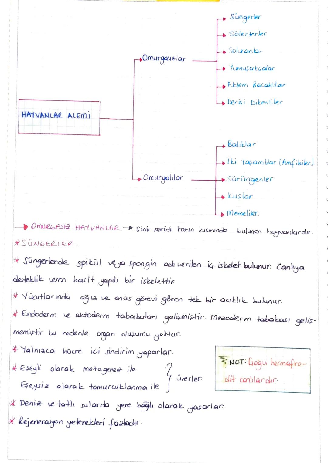 Kapalı Tohumlular
* Tohumun etrafı meyve ile sarılıdır.
* Gerçek kök, gövde, yaprak, çiçek bulunur.
*
-
Giçeğin yapısında 7a4 japrak
Erkek
b