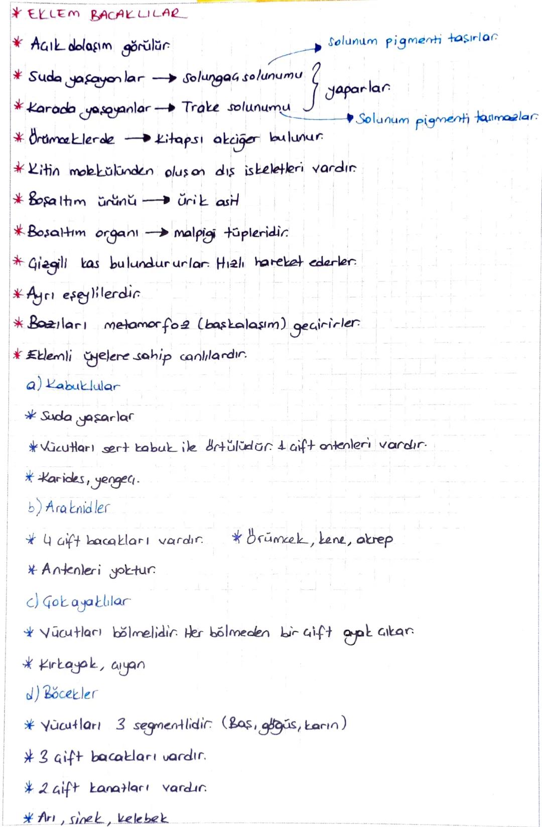 Kapalı Tohumlular
* Tohumun etrafı meyve ile sarılıdır.
* Gerçek kök, gövde, yaprak, çiçek bulunur.
*
-
Giçeğin yapısında 7a4 japrak
Erkek
b