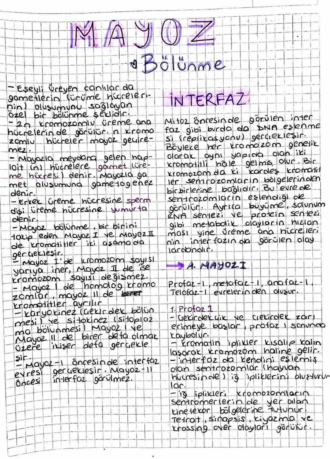 MAYOZ
♥Bölünme
- Eşeyli üreyen canlılar da
gametlerin ürüme hücreleri-
nin oluşumunu sağlayan
özel bir bölünme şeklidir.
- 2n kromozomlu üre