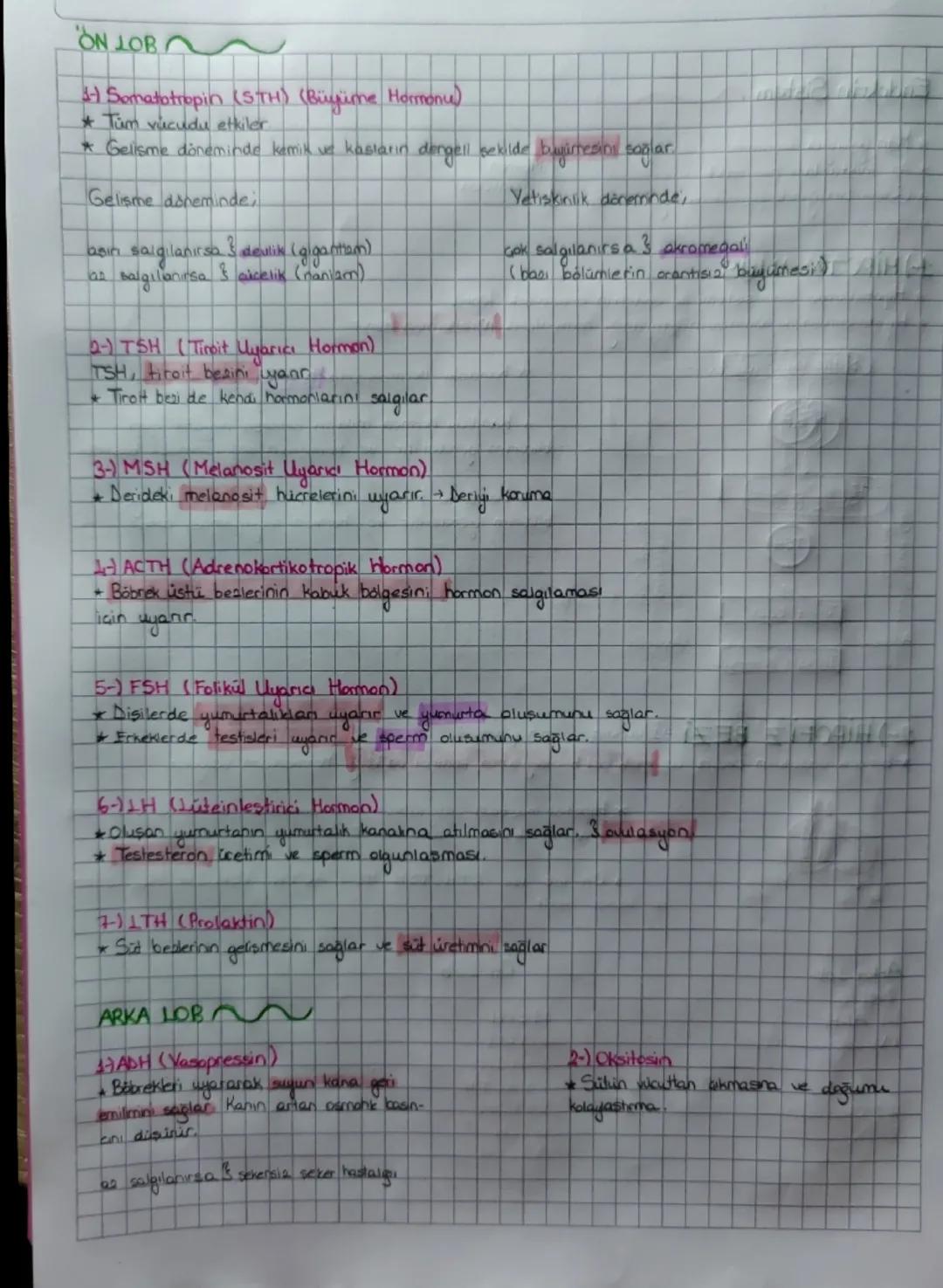 11. Sınıf Endokrin Sistem ( Hipofiz Bezi )