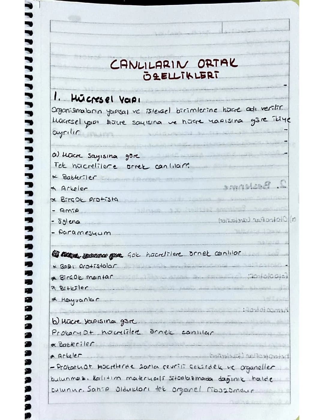 canlilarin ortak ozellikleri