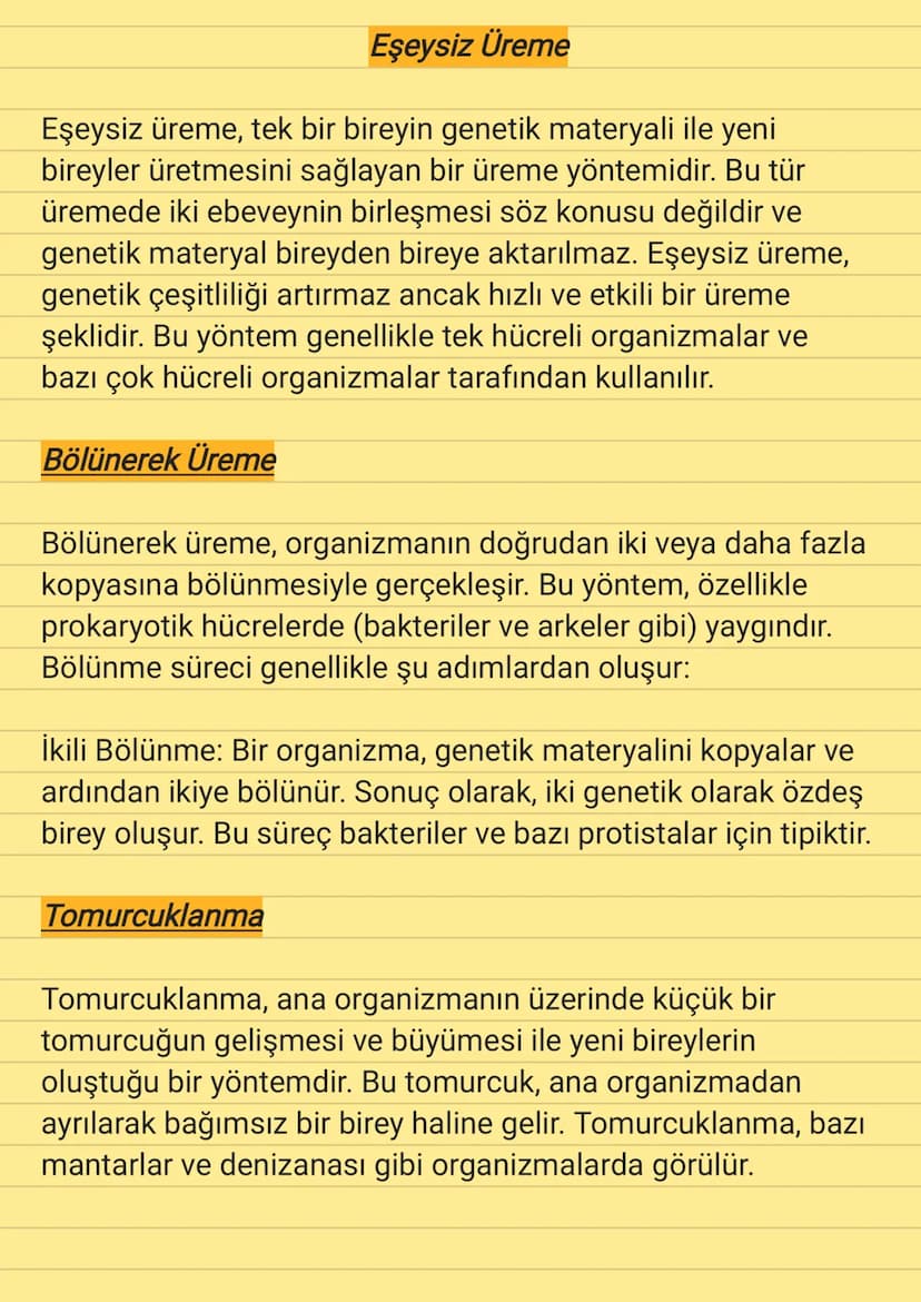 Eşeysiz Üreme
Eşeysiz üreme, tek bir bireyin genetik materyali ile yeni
bireyler üretmesini sağlayan bir üreme yöntemidir. Bu tür
üremede ik