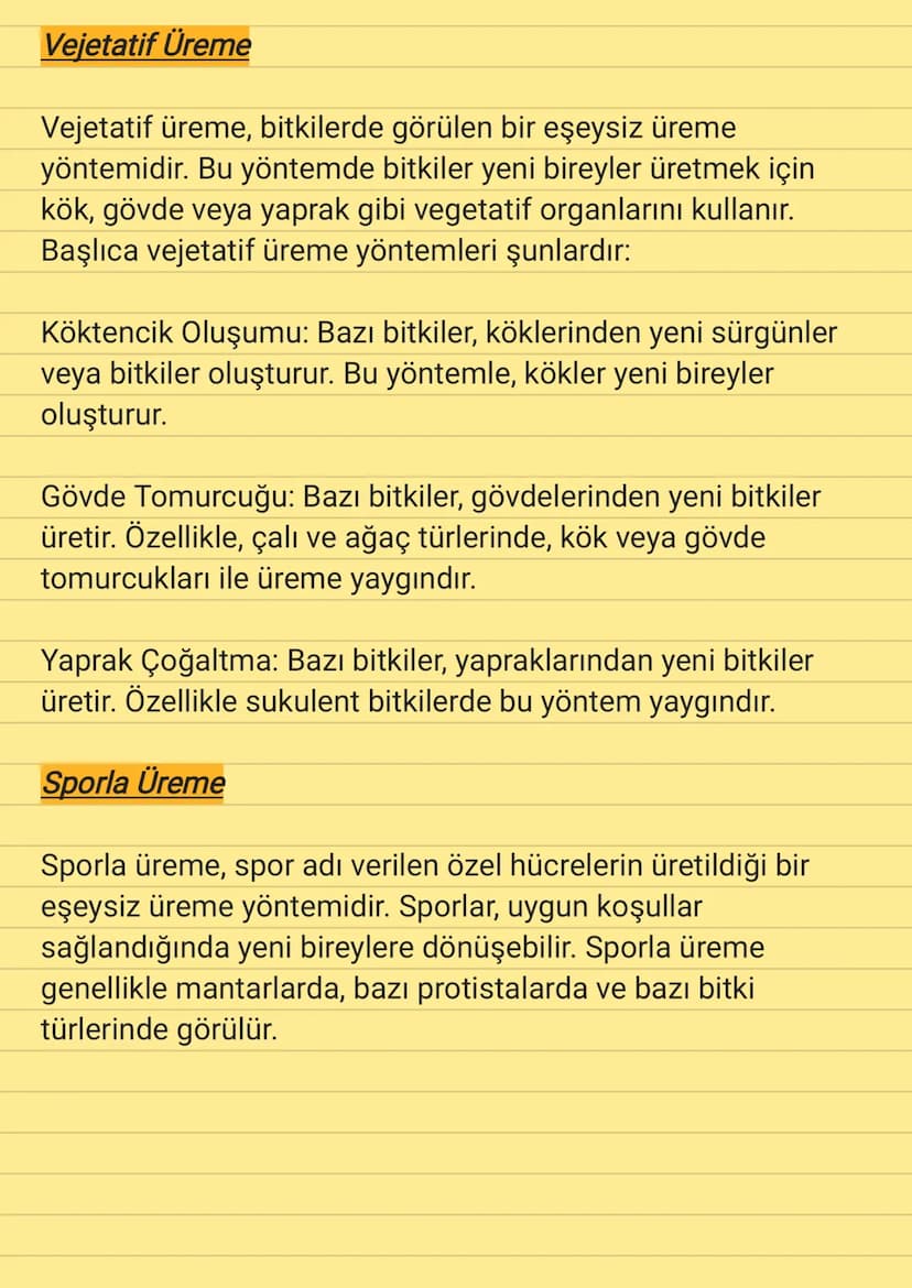 Eşeysiz Üreme
Eşeysiz üreme, tek bir bireyin genetik materyali ile yeni
bireyler üretmesini sağlayan bir üreme yöntemidir. Bu tür
üremede ik