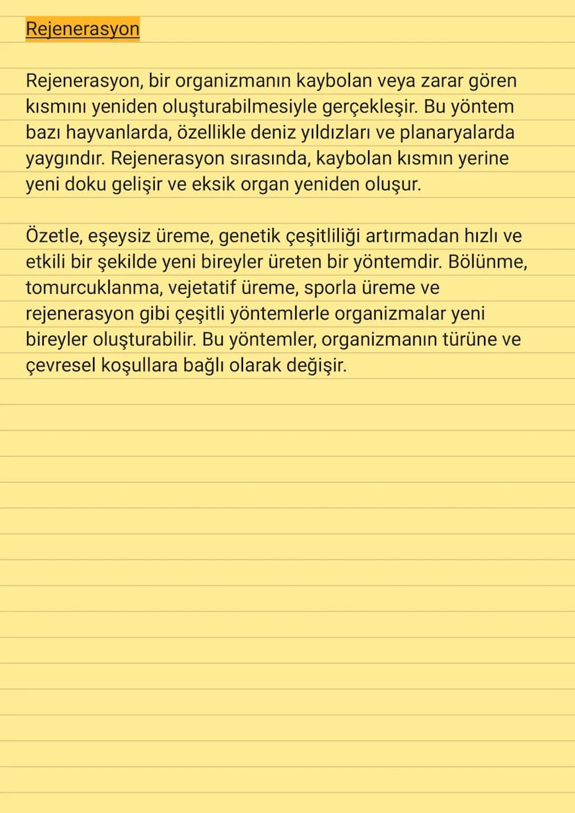 Eşeysiz Üreme
Eşeysiz üreme, tek bir bireyin genetik materyali ile yeni
bireyler üretmesini sağlayan bir üreme yöntemidir. Bu tür
üremede ik