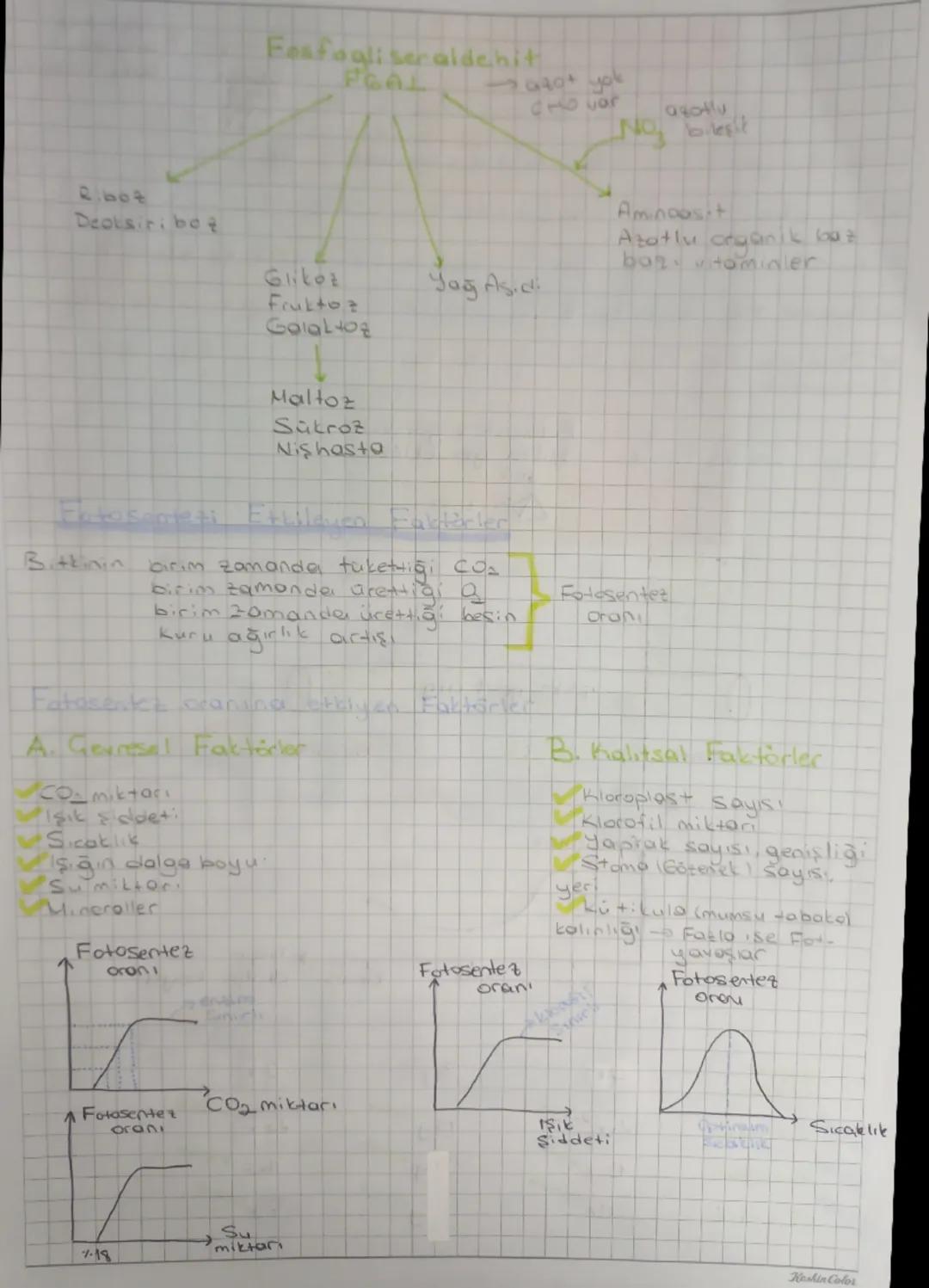 # Fotosente

⇒Işık enerjisi kullanılarak inorganik maddeden organik madde
Sentetlenmesislin


inorganik
madde

ISIK
Klorofil

→ Organik
madd