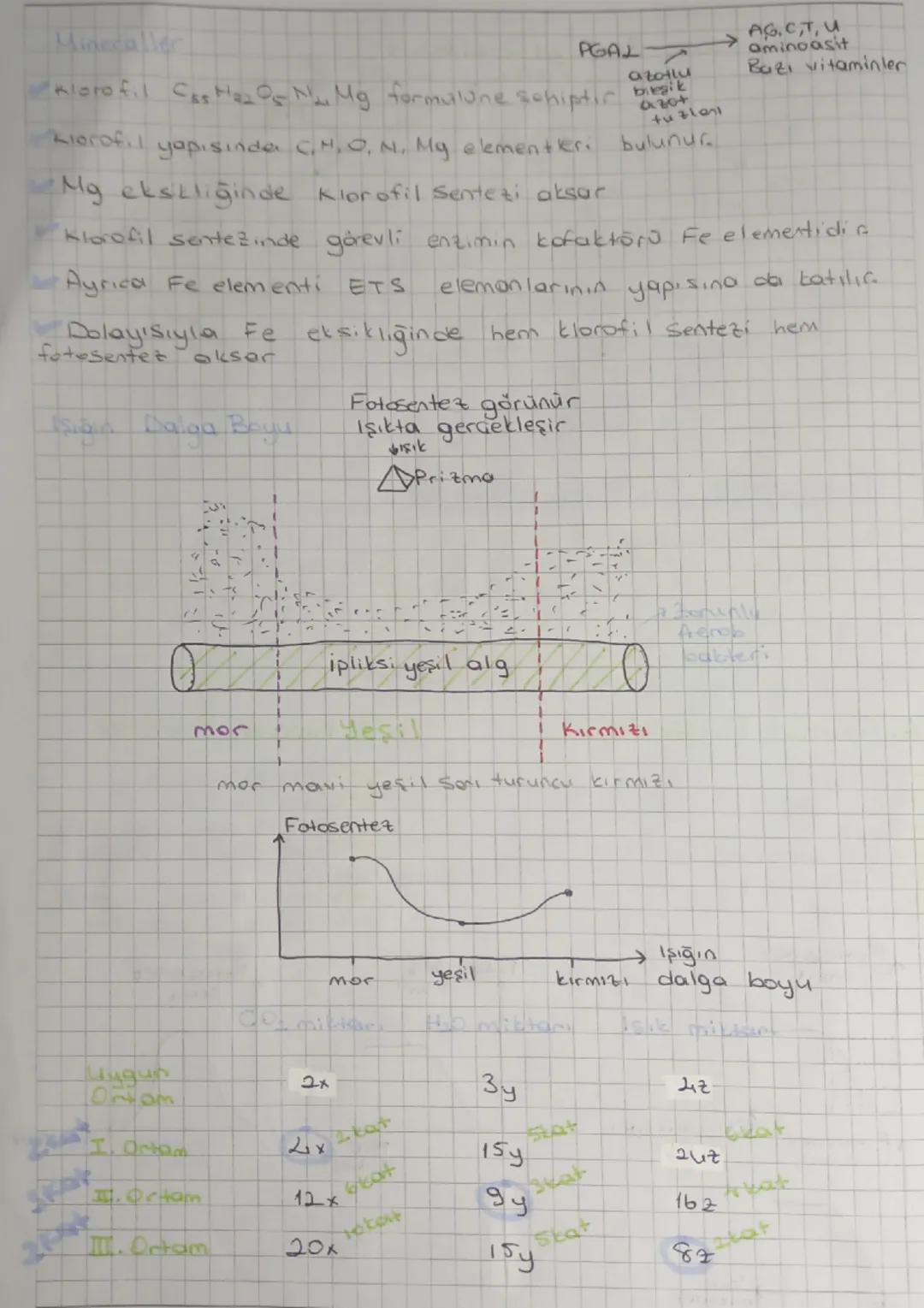 # Fotosente

⇒Işık enerjisi kullanılarak inorganik maddeden organik madde
Sentetlenmesislin


inorganik
madde

ISIK
Klorofil

→ Organik
madd
