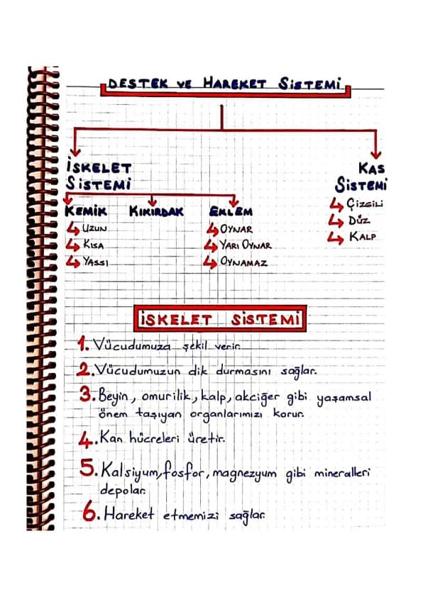 DESTEK VE HAREKET SISTEMI
ISKELET
SISTEMI
KAS
SISTEMI
KEMIK KIKIRDAK EKLEM
4 ÇİZGİLİ
UZUN
4 Düz
OYNAR
KISA
4YASSI
KALP
4 YARI OYNAR
4 OYNAMA