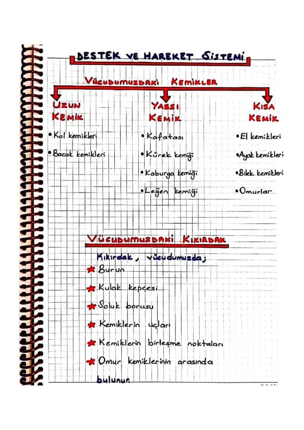 DESTEK VE HAREKET SISTEMI
ISKELET
SISTEMI
KAS
SISTEMI
KEMIK KIKIRDAK EKLEM
4 ÇİZGİLİ
UZUN
4 Düz
OYNAR
KISA
4YASSI
KALP
4 YARI OYNAR
4 OYNAMA