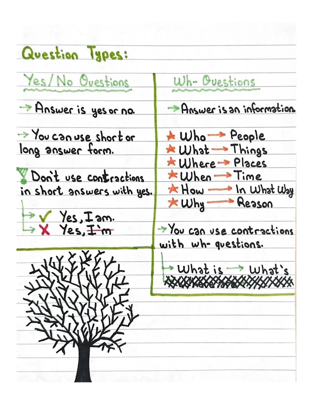 Fun English Questions for 3rd to 9th Grade: Ask and Answer!