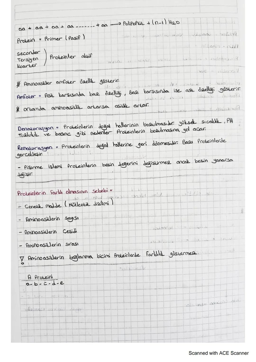 Proteinler
Inersi vermede üçüncü sırada yer
ahrlar.
Karbonhidrat
yafic
- onarıcı olarak birinci sırada yer ahrlar.
Düzenleyicilerdir.
Karbon