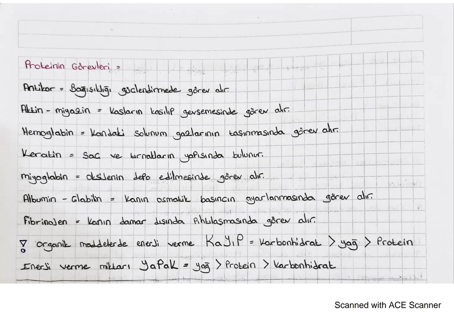 Proteinler
Inersi vermede üçüncü sırada yer
ahrlar.
Karbonhidrat
yafic
- onarıcı olarak birinci sırada yer ahrlar.
Düzenleyicilerdir.
Karbon