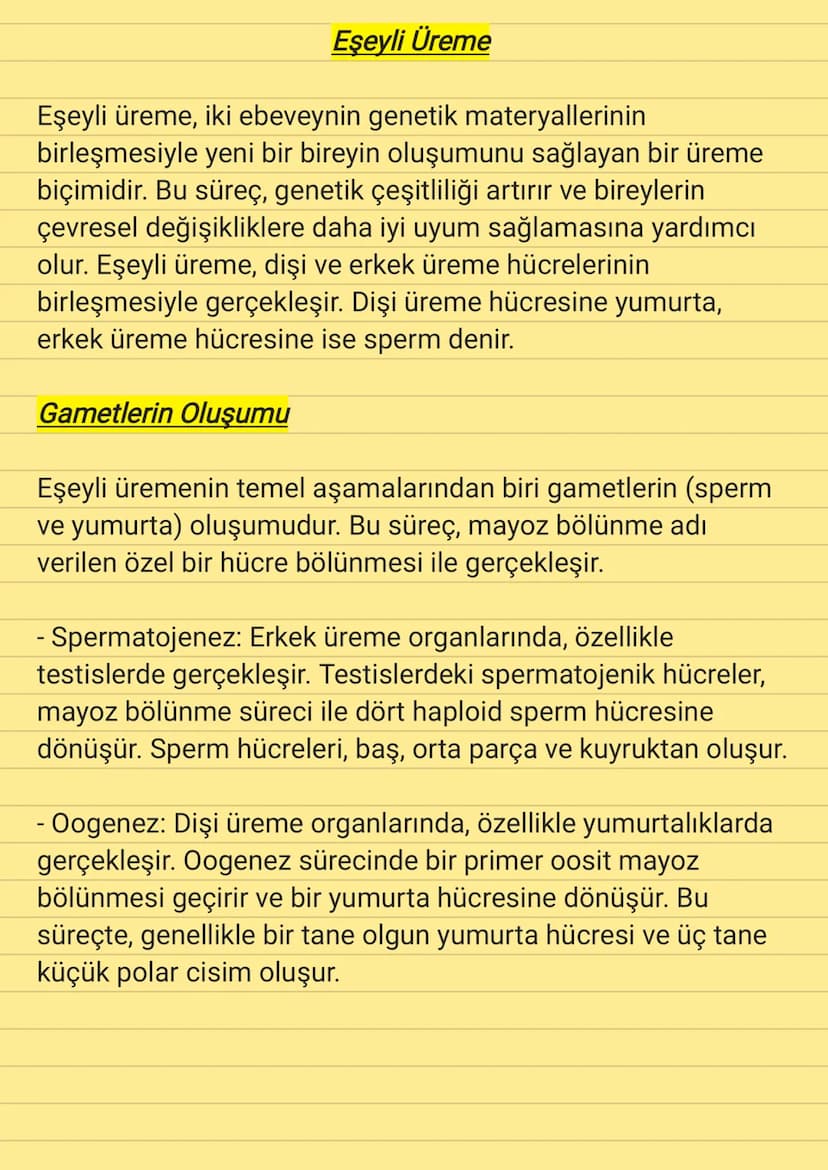 Eşeyli Üreme
Eşeyli üreme, iki ebeveynin genetik materyallerinin
birleşmesiyle yeni bir bireyin oluşumunu sağlayan bir üreme
biçimidir. Bu s