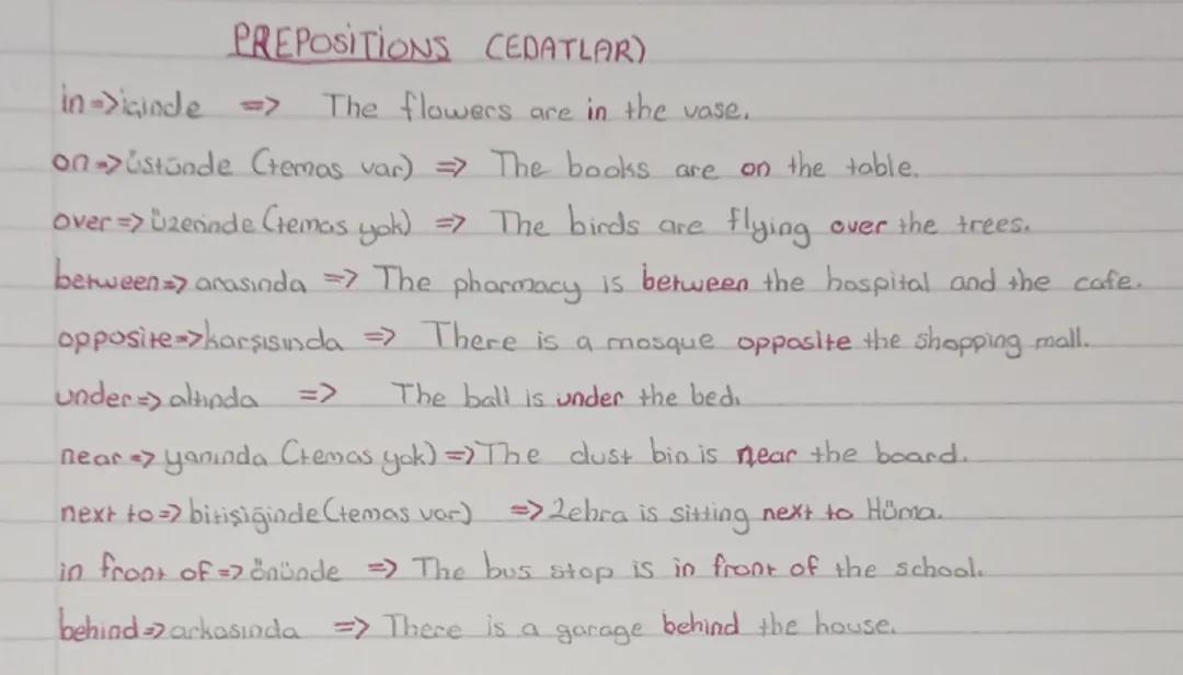 6. Sınıf İngilizce Prepositions: En Önemli Edatlar ve Örnekler