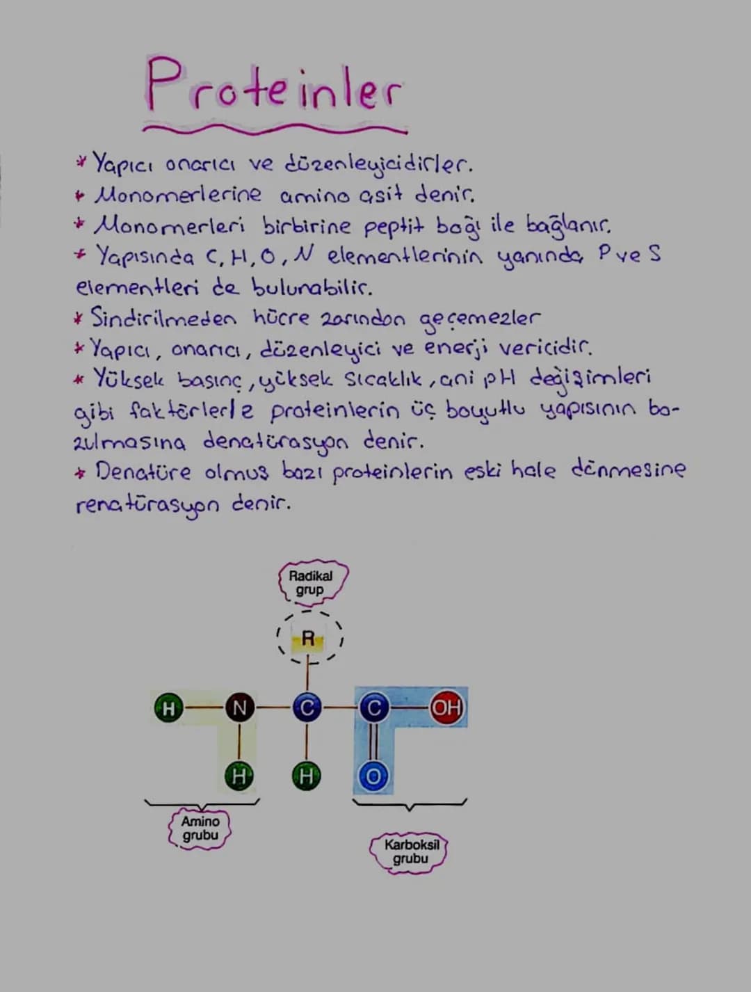 Proteinler
* Yapıcı onarıcı ve düzenleyicidirler.
+ Monomerlerine amino asit denir.
*Monomerleri birbirine peptit boği ile bağlanır.
* Yapıs