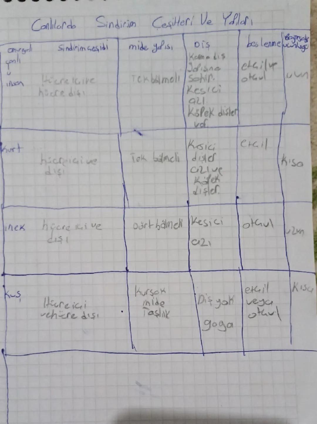 Canlılarda Sindirim Çeşitleri Ve Yadilar.

| | Sindinim çeşidi | mide yalısı | Dis | beslenme | Bagrsak
|---|---|---|---|---|---
| omurgalı 