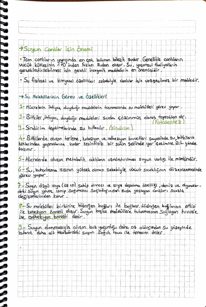 BİYOLOJİ
Canlıların Yapısında Bulunan Temel Bileşikler
1- Canlıların Temel Bileşenleri
→Tüm canlılar bir veya birden fazla hücrenin bir aray