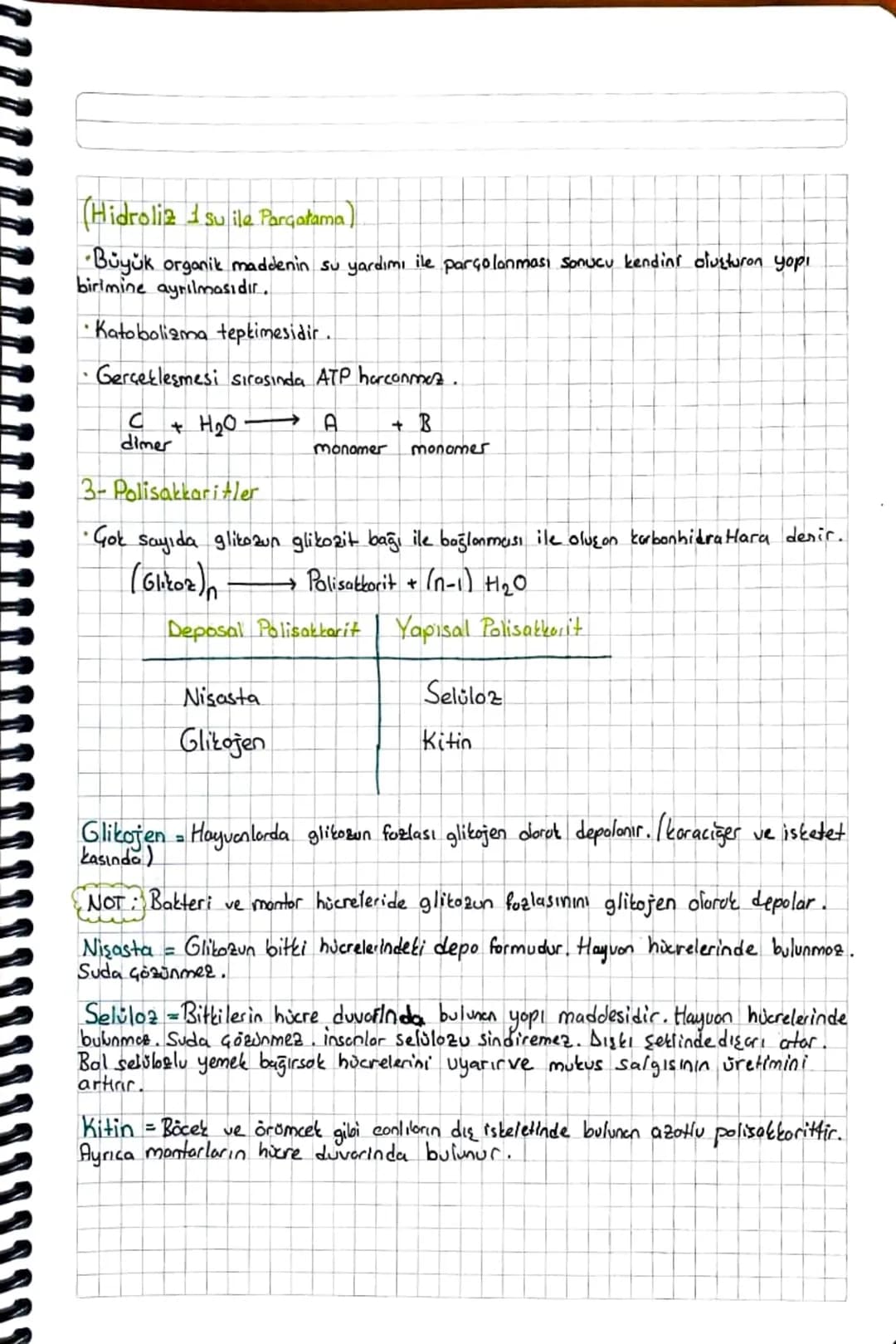 BİYOLOJİ
Canlıların Yapısında Bulunan Temel Bileşikler
1- Canlıların Temel Bileşenleri
→Tüm canlılar bir veya birden fazla hücrenin bir aray