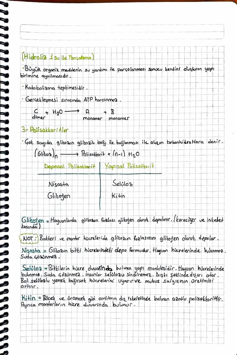 BİYOLOJİ
Canlıların Yapısında Bulunan Temel Bileşikler
1- Canlıların Temel Bileşenleri
→Tüm canlılar bir veya birden fazla hücrenin bir aray