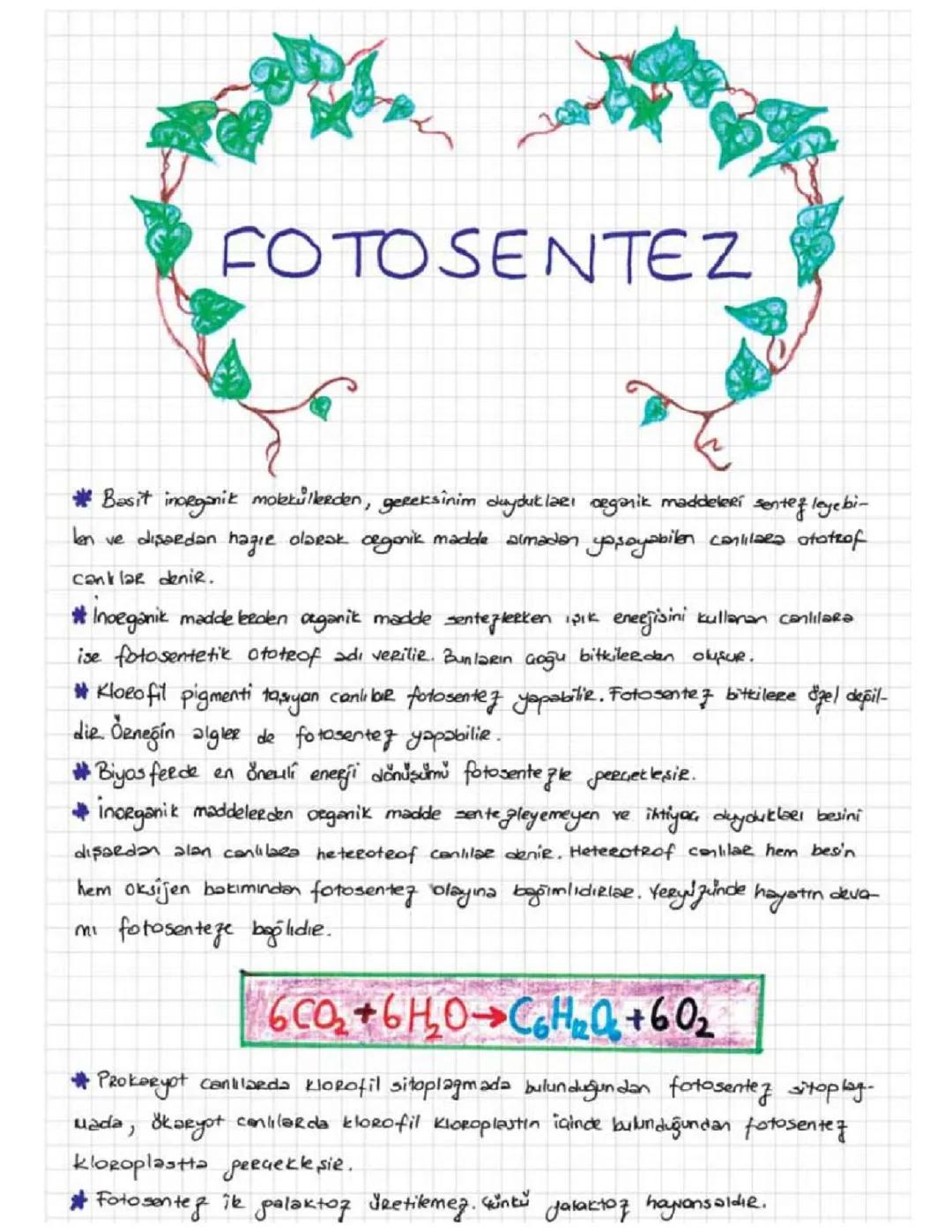 TYT BİYOLOJİ FOTOSENTEZ