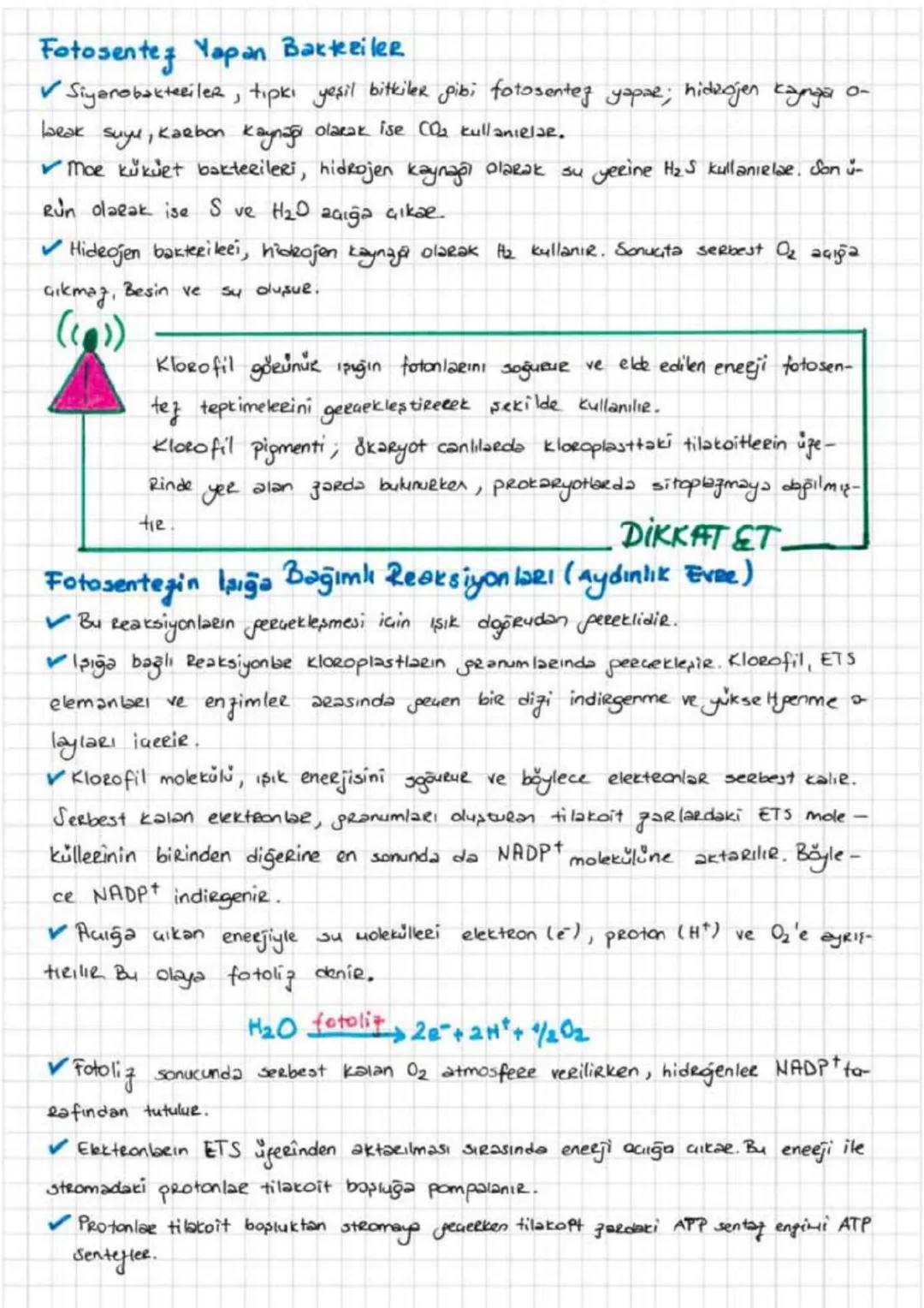 FOTOSENTEZ
*Basit inorganik moleküllerden, gereksinim duydukları organik maddelerí
Sentezleyebi
len ve dışardan hagie olarak deganik madde a