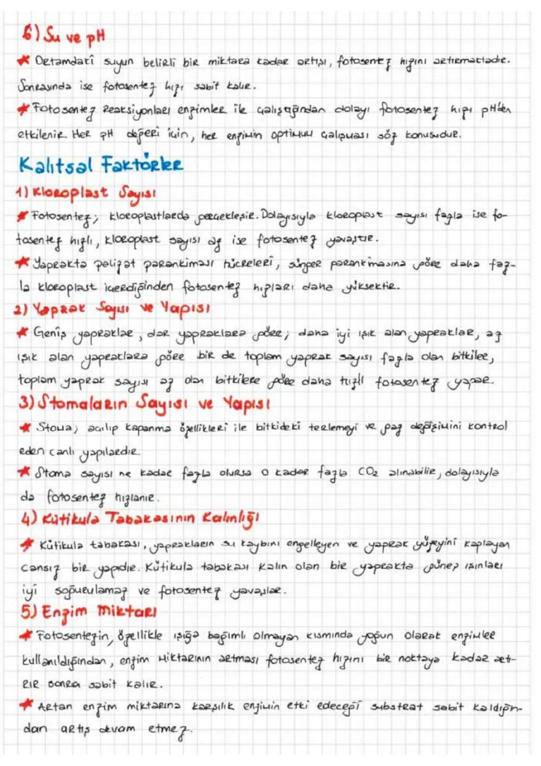 FOTOSENTEZ
*Basit inorganik moleküllerden, gereksinim duydukları organik maddelerí
Sentezleyebi
len ve dışardan hagie olarak deganik madde a