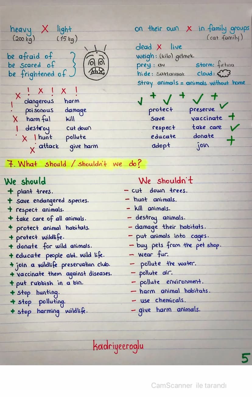 Kadriyeeroglu
UNIT 4-WILD ANIMALS
• Cat
=> domestic animals
• dog
• elephant
.tiger
=> wild animals
1. Animals - Body Parts
tusk, ivory
trun