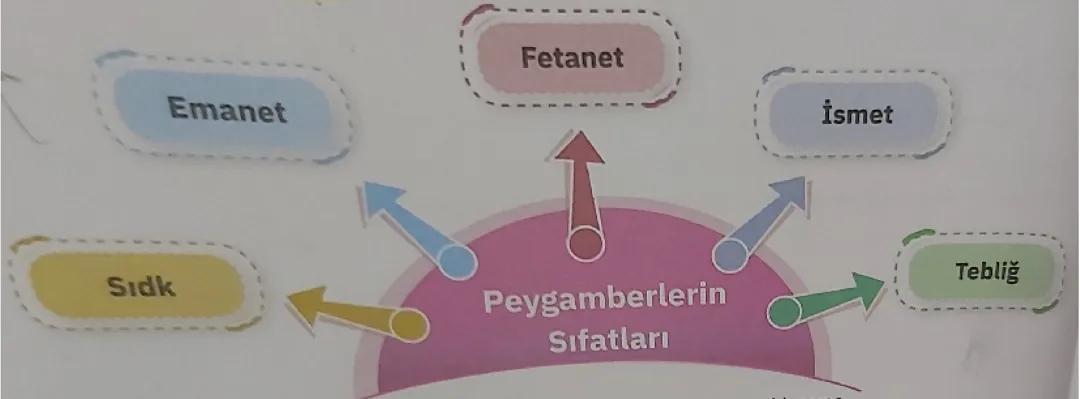 6.sınıf din kültürü peygamberlerin sıfatları