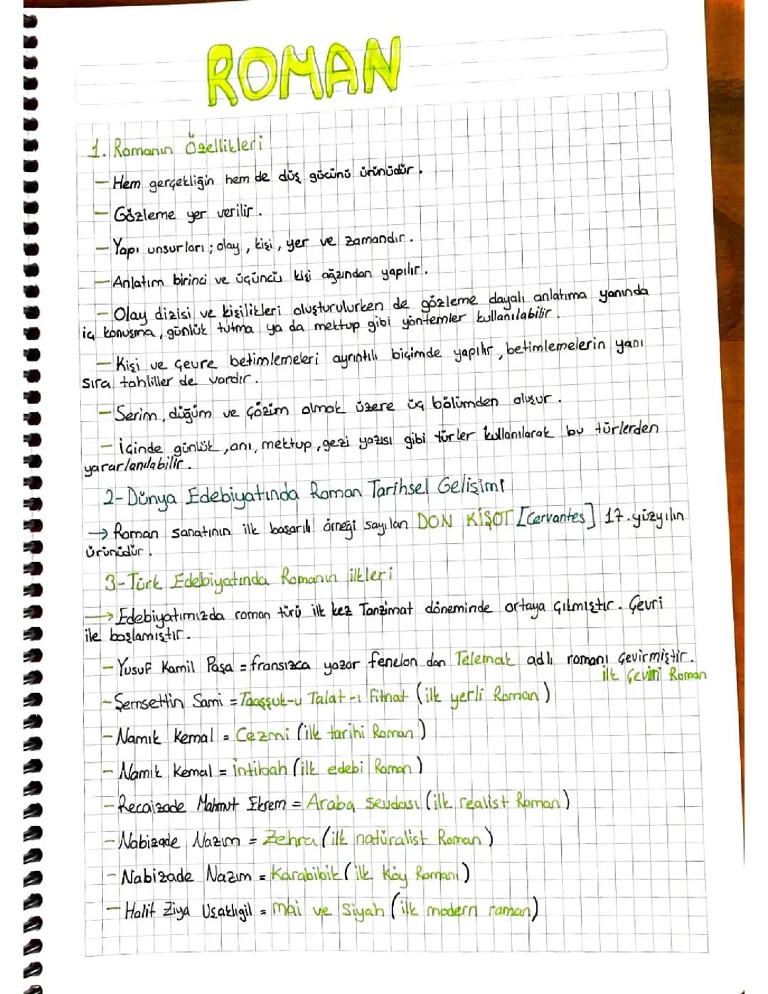 Roman Ünitesi Konu Özeti