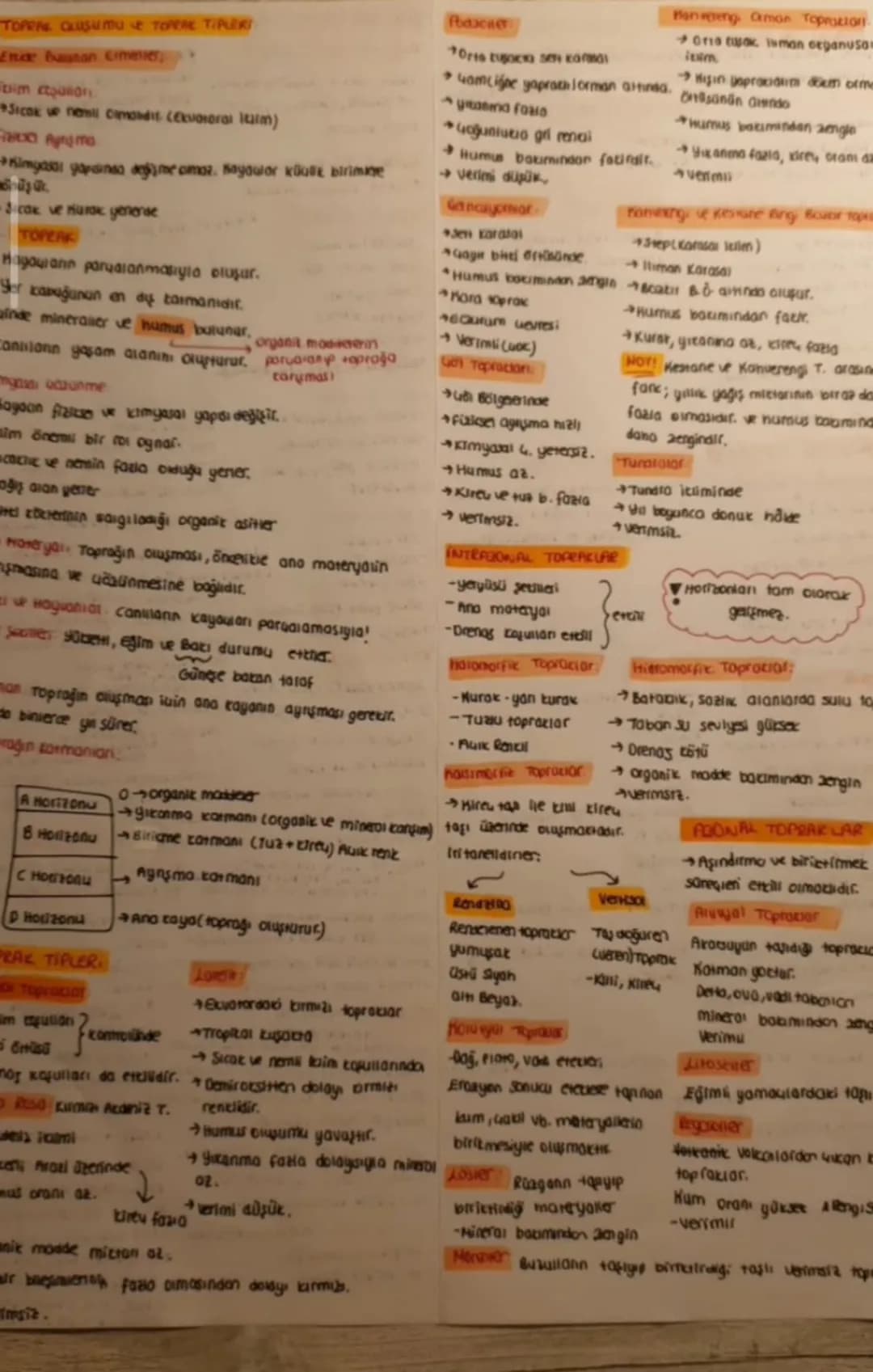 I BAYER DÖNEM
Cem Sutton Clayes
Farin Sultan Mehman dümünden sonra 101 I. Boyezd oturur ancak cem yanı Fatin'in diğer oğlu buna itiraz
a. I.