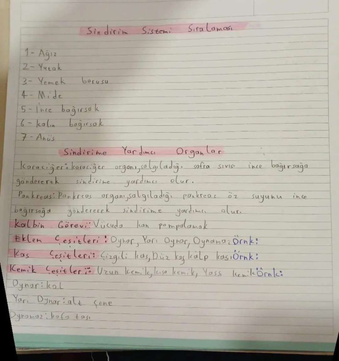 1-Ağız
2- Yutak
Sin dirim
3- Yemek
borusu
4- Mide
5- I'nce bağırsak
6- kalın bağırsak
7-Anus
Sindirime
Sistemi
Sira Lomas
Yardımcı
Organlar
