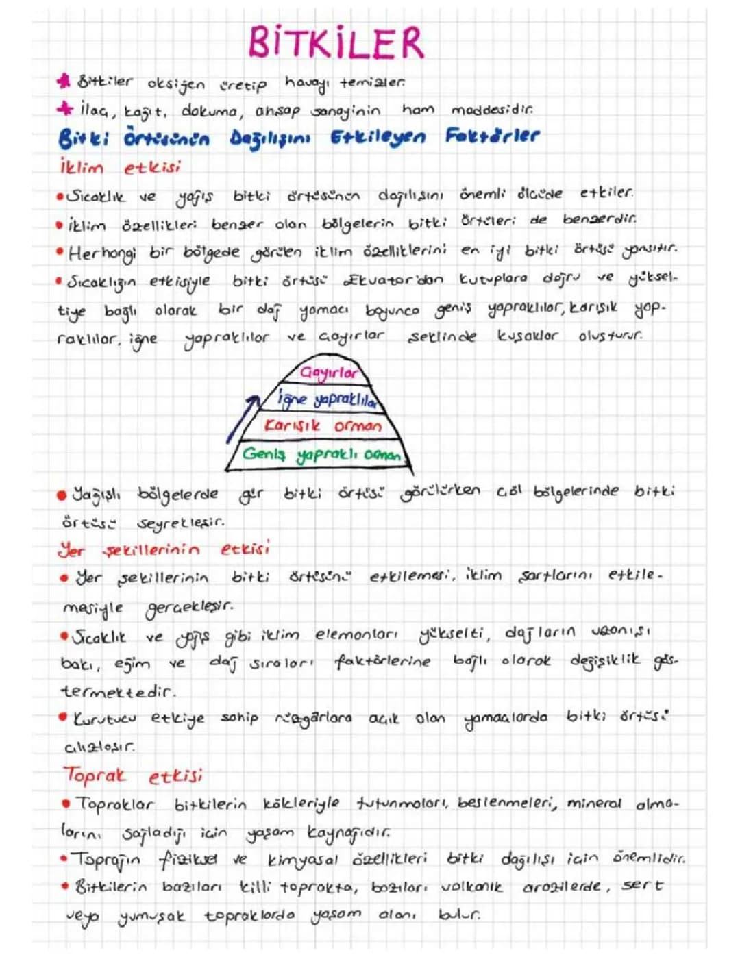 10. SINIF COĞRAFYA BİTKİ