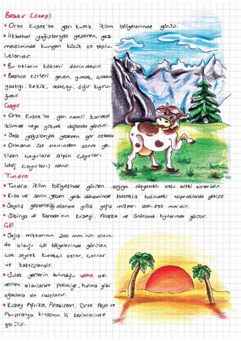 BITKILER
Sitkiler oksijen üretip havayı temizler.
ilaa, kağıt, dokuma, ahsap sanayinin ham
maddesidir.
Bitki örtisinin Dağılışını Etkileyen 