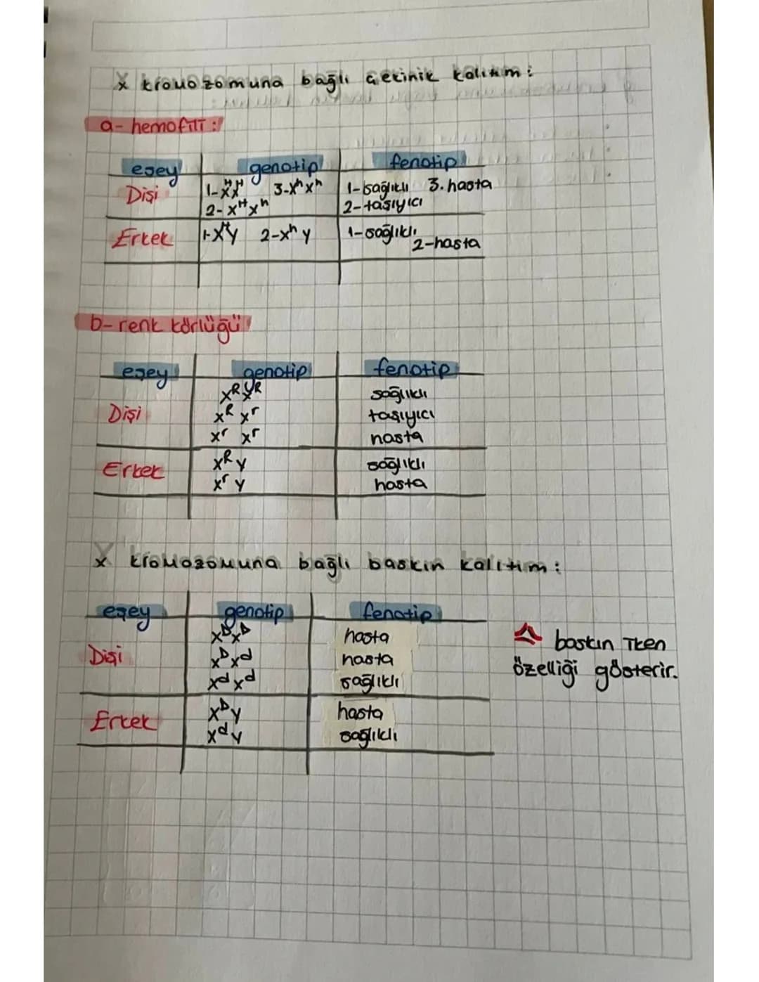 x kromozomuna bağlı çekinik kalium:
a- hemofili :
Tesey
Disi
genotip
1-3-xx
2-xx
fenotip
1-sağlıklı 3. hasta
2-taşıyıcı
Ertek
XY 2-xhy
1-sağ