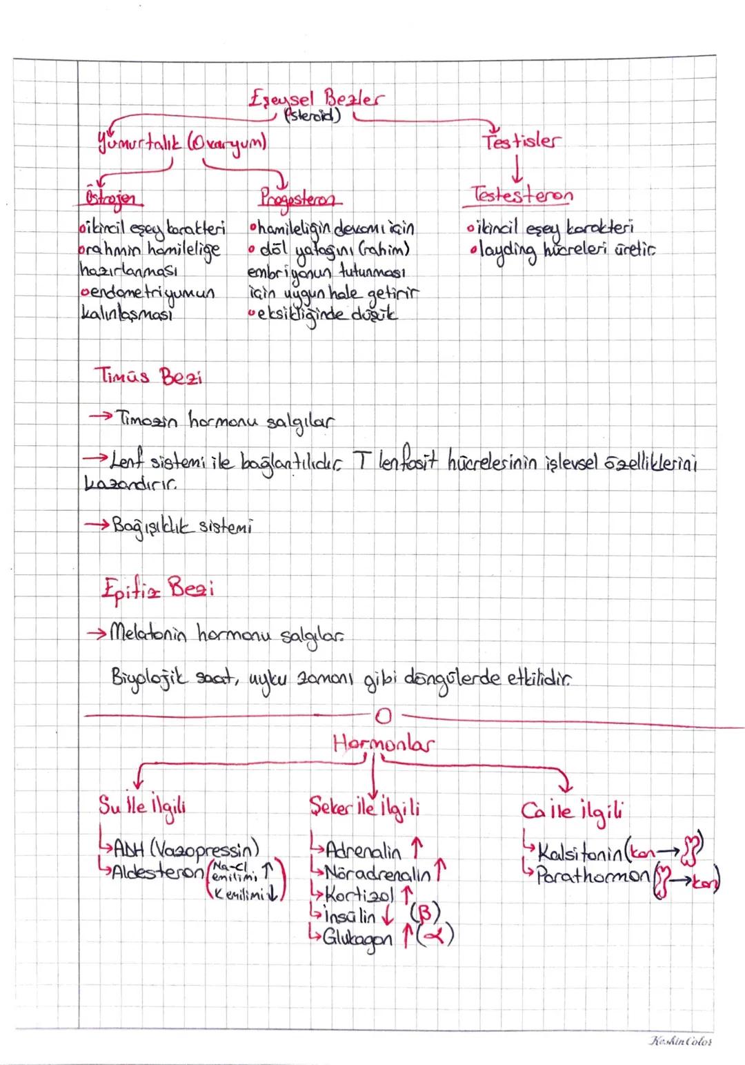 an lob
AU ENDOKRİN SİSTEM
Hipotalamus
SRF iFe
①TSH Tiroit iyet, Tiroksin.
Hipofiz
идаста
FSH: eşeysel bezleri
loogenes-spermetogenez)
LH: as