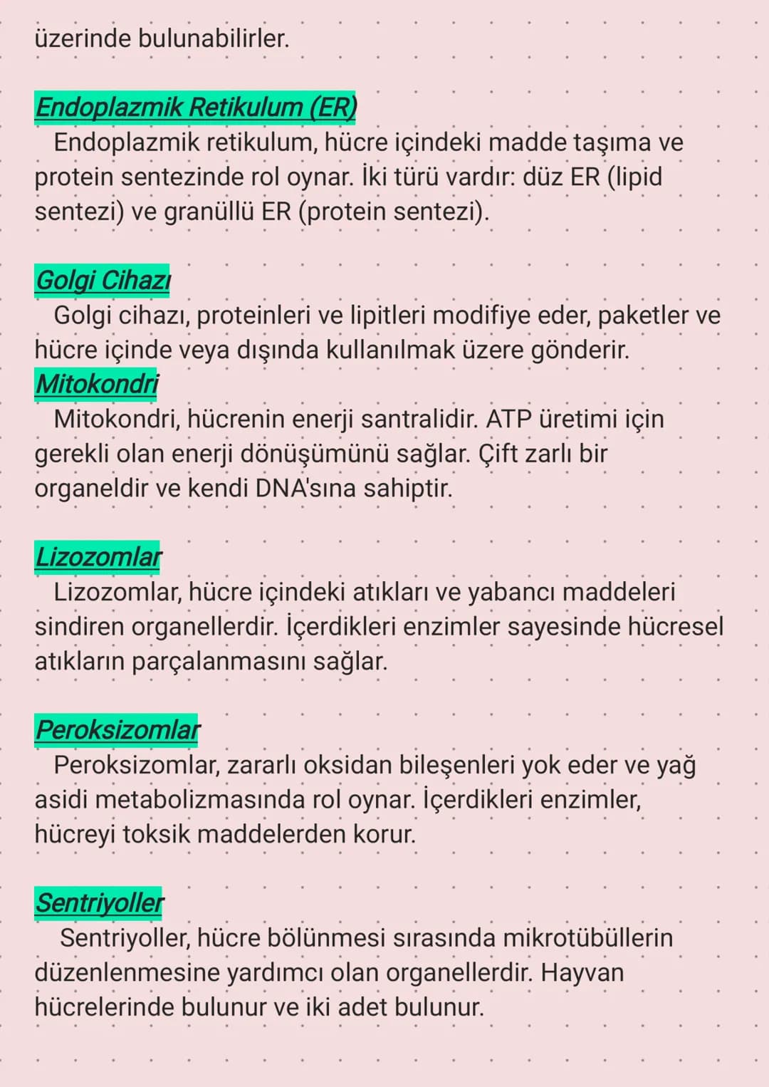 Ribozom
Golgi
cisimciği
Lizozom
Sentrozom
Hücre Kısımları
-Çekirdek
Endoplazmik
retikulum
Koful
Hücre zari
Mitokondri
Sitoplazma
Hayvan hücr