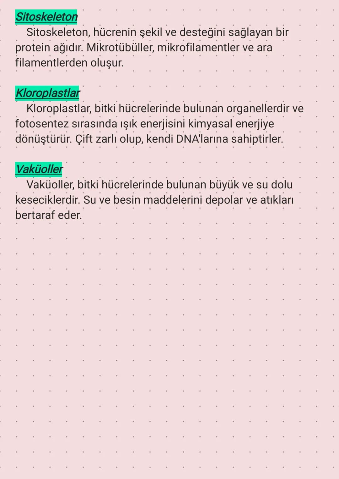 Ribozom
Golgi
cisimciği
Lizozom
Sentrozom
Hücre Kısımları
-Çekirdek
Endoplazmik
retikulum
Koful
Hücre zari
Mitokondri
Sitoplazma
Hayvan hücr