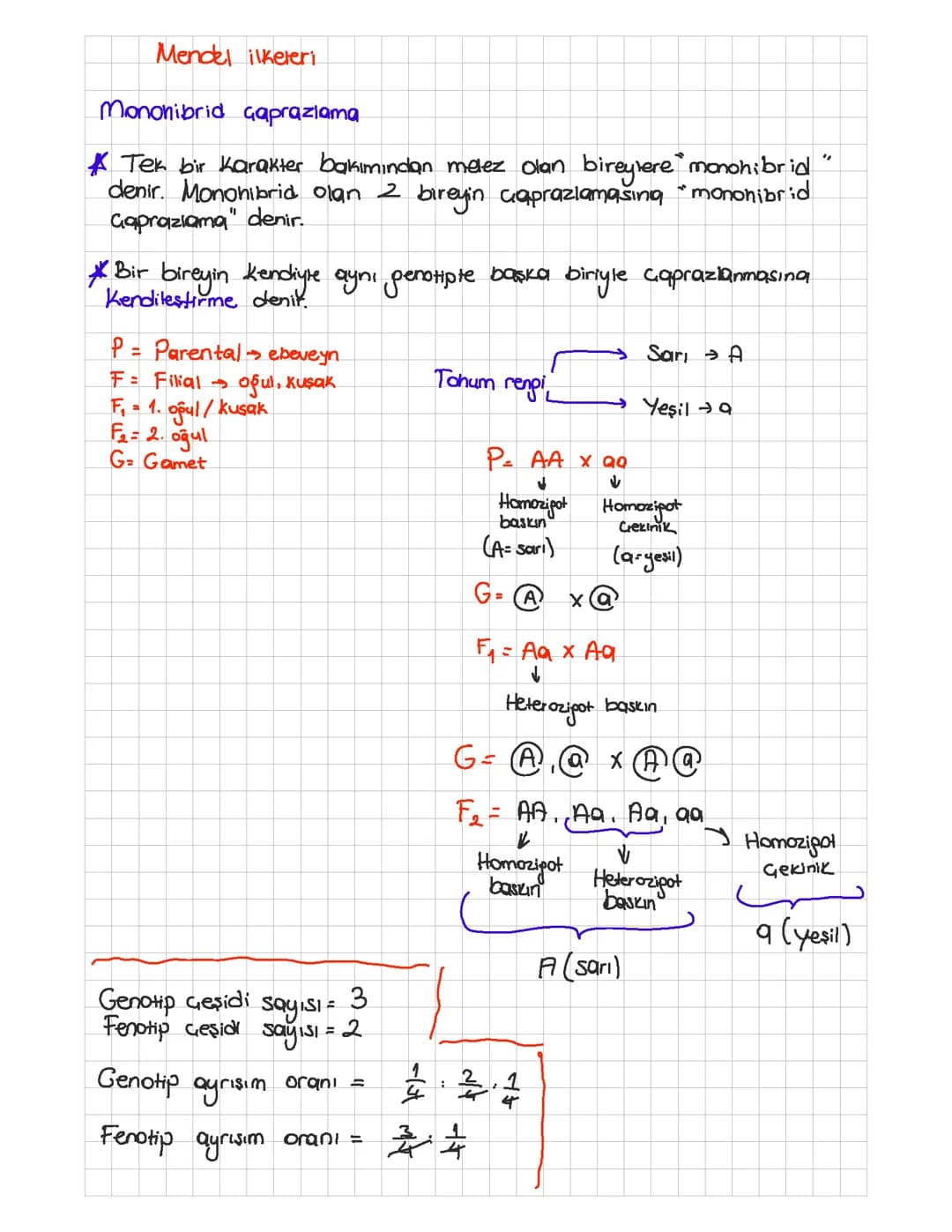 Mendel İlkeleri ve Örneklerle Açıklaması