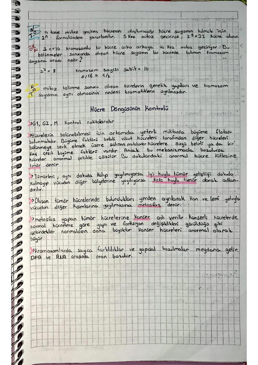 Homolog
Kromozom Biri anneden biri babadan gelen çekil ve büyüklükleri
bakımından aynı, aynı bölgelerde aynı özelliğe ait genler bulunduran 