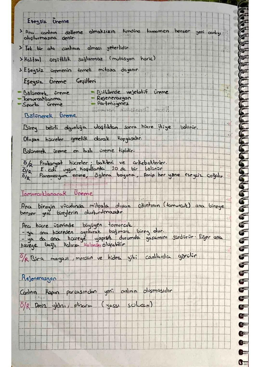 Homolog
Kromozom Biri anneden biri babadan gelen çekil ve büyüklükleri
bakımından aynı, aynı bölgelerde aynı özelliğe ait genler bulunduran 