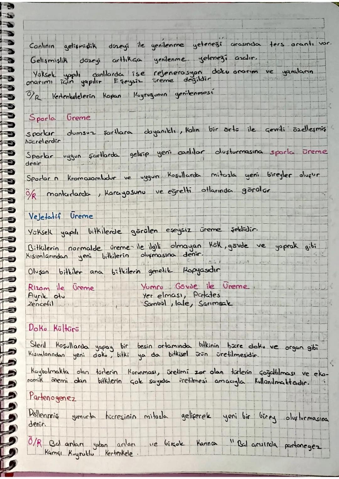 Homolog
Kromozom Biri anneden biri babadan gelen çekil ve büyüklükleri
bakımından aynı, aynı bölgelerde aynı özelliğe ait genler bulunduran 